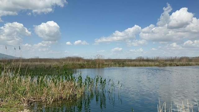 Sultan Dağları'ndaki kar Eber Gölü ve kiraza umut oldu