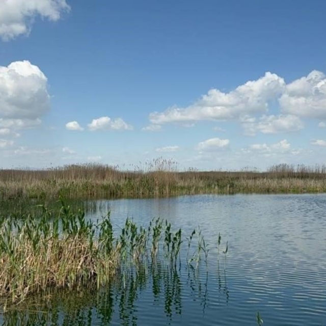 Sultan Dağları'ndaki kar Eber Gölü ve kiraza umut oldu