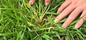 Kayıt altına alınıyor