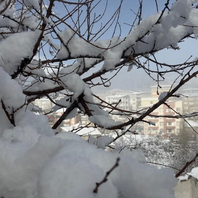 Hakkari'de 144 yerleşim yerinin yolu ulaşıma kapandı