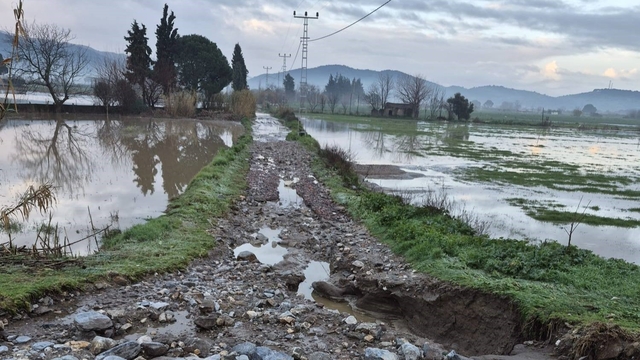 Söke'de aşırı yağışlar sonrası tarım alanlarında hasar tespiti