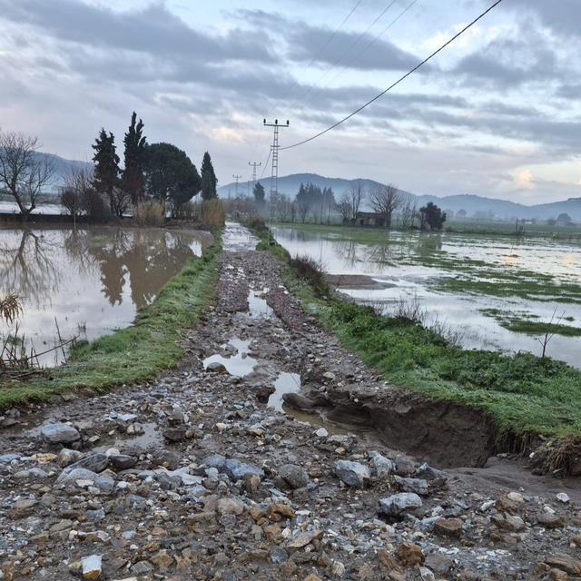 Söke'de aşırı yağışlar sonrası tarım alanlarında hasar tespiti