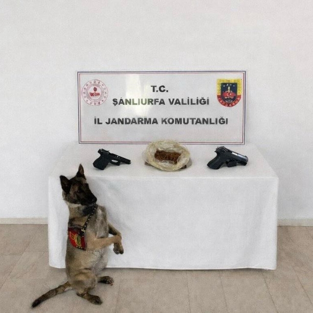 Eyyübiye'de uyuşturucu operasyonu: 1 tutuklama