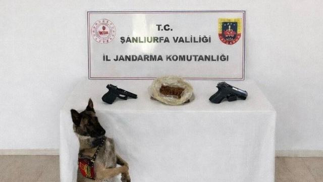 Eyyübiye'de uyuşturucu operasyonu: 1 tutuklama