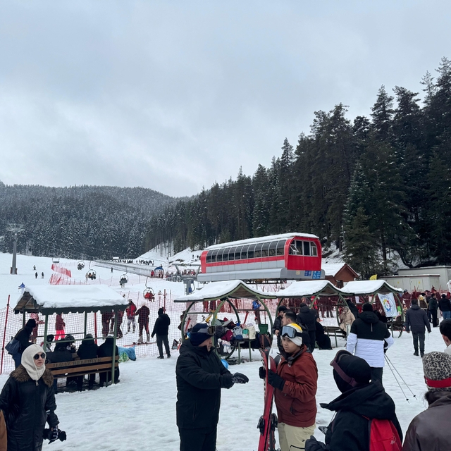 Yıldıztepe Kayak Merkezi'nde hafta sonu yoğunluğu yaşandı
