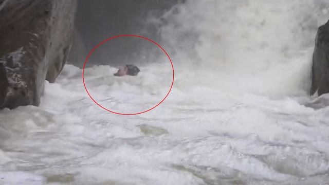 Dağcılar, yağışlar sonrası su seviyesi yükselen dereden geçerken zor anlar yaşadı