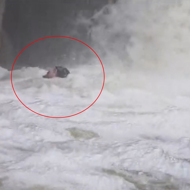 Dağcılar, yağışlar sonrası su seviyesi yükselen dereden geçerken zor anlar...