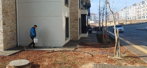 Adıyaman Belediyesi'nden Örenli TOKİ'de haşereyle mücadele