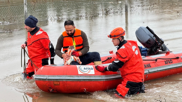 AFAD mahsur kalan hayvanları tahliye ediyor