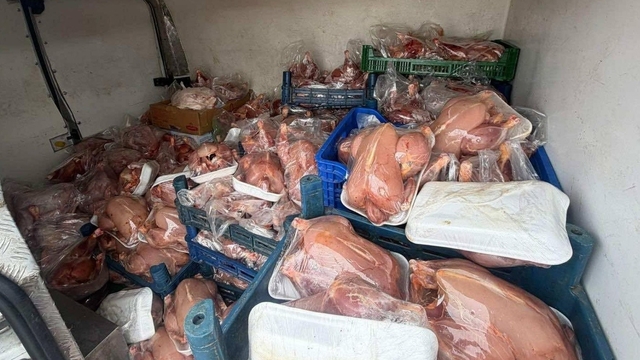 Van'da sağlık ve sevk belgeleri bulunmayan 200 tavuk ele geçirildi