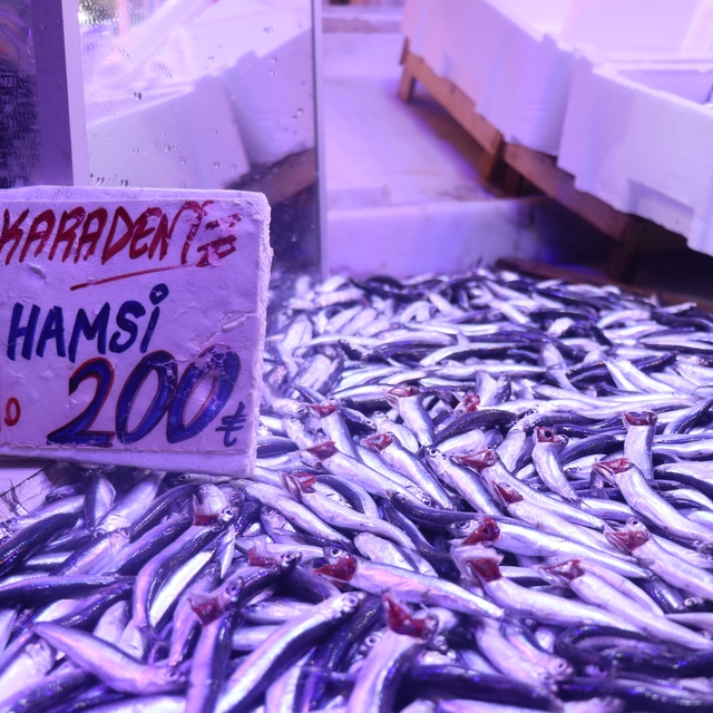 Hamsi tezgahlardaki tahtına yeniden oturdu
Taze hamsi döndü, vatandaş pazar...