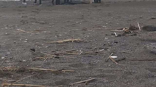 Muğla'da sahilde erkek cesedi bulundu