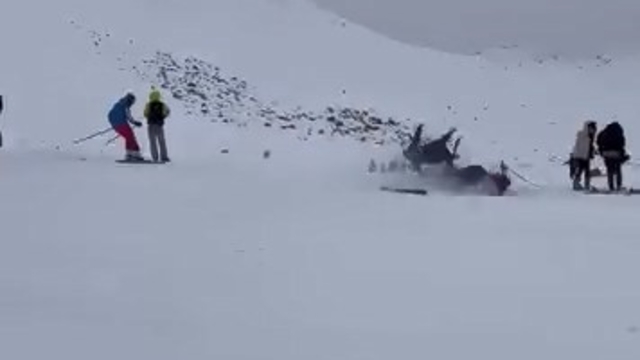 Kayak merkezinde kaza: 6 yaralı
Bingöl'de kayak merkezinde yaşanan kaza anı kameraya yansıdı