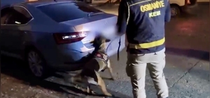 Osmaniye'de otomobil bagajında 36 kilo skunk ele geçirildi: 2 tutuklama