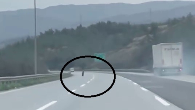 Tırdan fırlayan lastik otobanda yüzlerce metre ilerledi