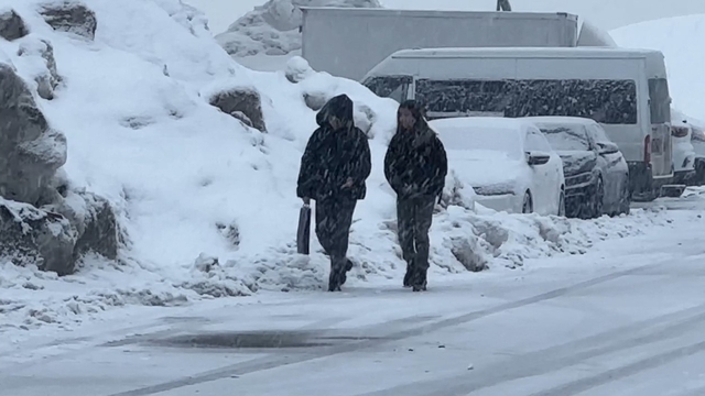 Yüksekova'da kar yağışı etkili oldu