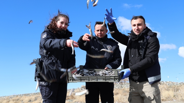 Doğu'nun gizli denizinde şefkat eli: Polis ekipleri martı ve tavşanları unutmadı