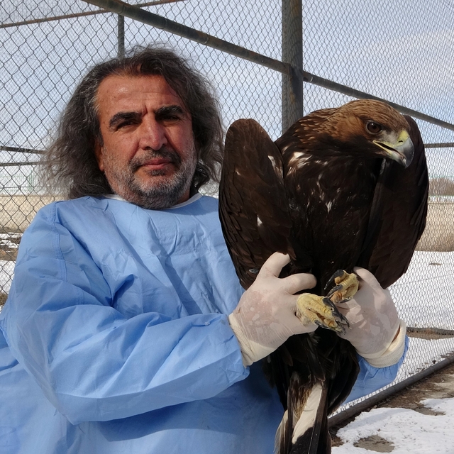 Van YYÜ'de yırtıcı kuşlar şifa bulup doğaya dönüyor
Yaralı bulunan 20 yırtı...