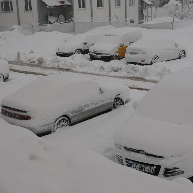 Bitlis'te 165 köy yolu kardan kapandı