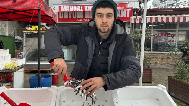 Zonguldak'ta tezgahta hamsinin yerini istavrit ve mezgit alacak