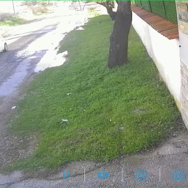 Köpeği çalınan vatandaştan hırsıza çağrı