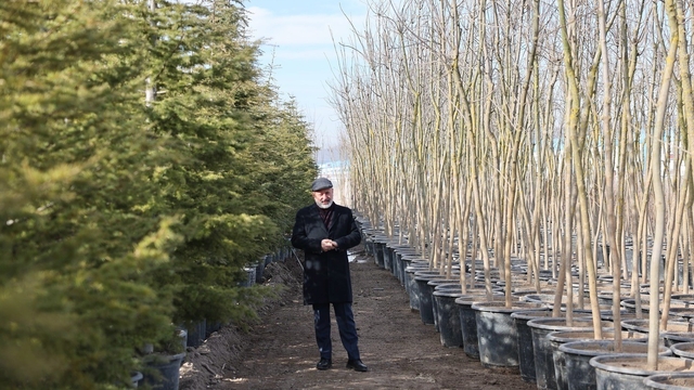 Başkan Çolakbayrakdar: "Şehrin yeşil geleceğini Kocasinan'da inşa ediyoruz"
Türkiye'nin en büyük üretim ve lojistik üssü fidanlığı Kocasinan'da