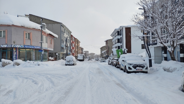 Bingöl'de 15 yerleşim yerine ulaşım sağlanamıyor