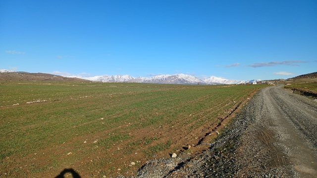 Kulp'ta yağışlar çiftçinin umudu arttı