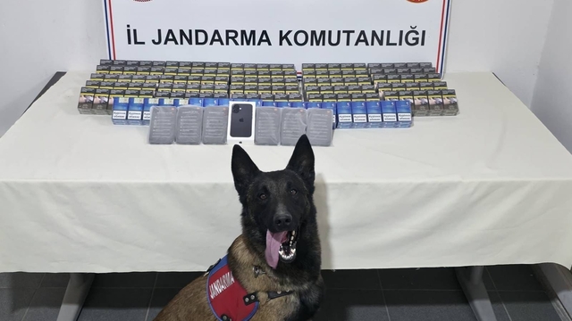 Şırnak'ta kaçakçılık ve asayiş operasyonlarında 112 şüpheli hakkında işlem yapıldı