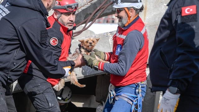 Afetlerde mahsur kalan hayvanlar unutulmayacak