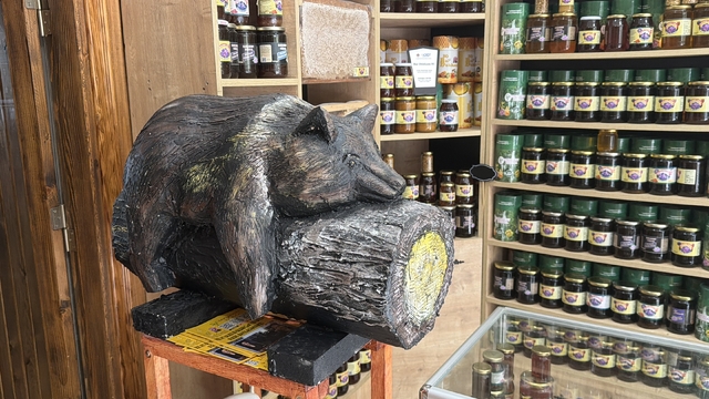 Viral olan ayı, satışları katladı: Balcı dükkanının başköşesine 'bayılan ayı' dekoru yerleşti
Bayılan ayının ahşap dekorunu yaptırdı