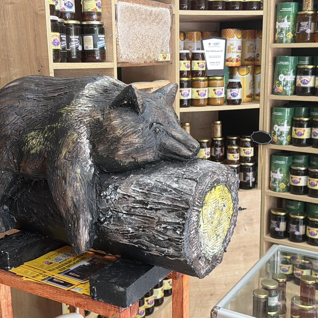 Viral olan ayı, satışları katladı: Balcı dükkanının başköşesine 'bayılan ay...