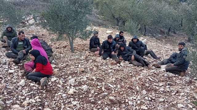 Hatay'da zeytinlik alanda 30 düzensiz göçmen yakalandı