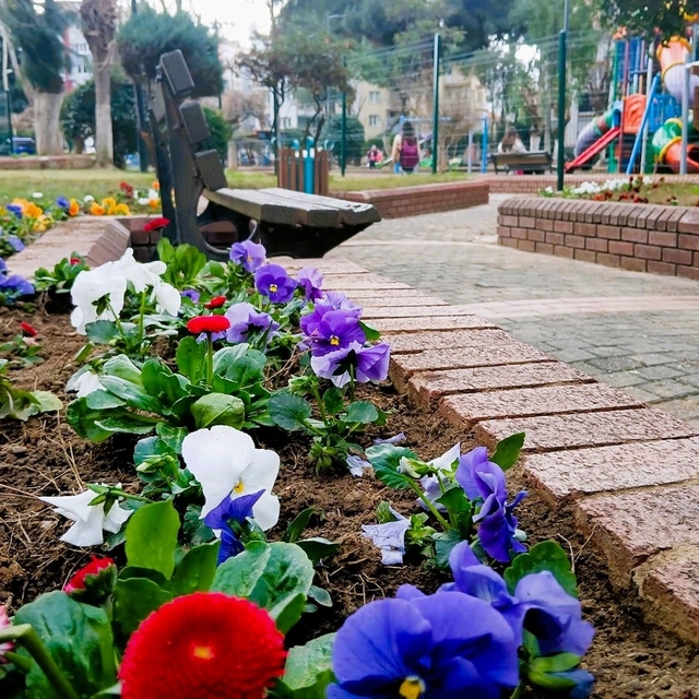 Efeler Belediyesi'nden çiçek düzenlemesi