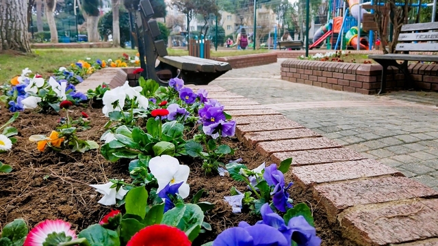 Efeler Belediyesi'nden çiçek düzenlemesi