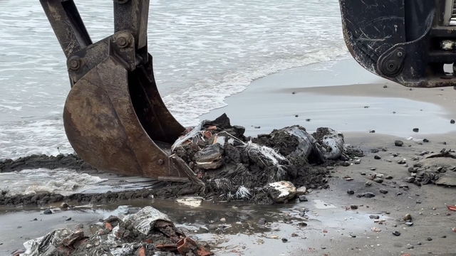 Samsun'da denize atılan çuvallar dolusu inşaat atığı temizlendi, inceleme başlatıldı