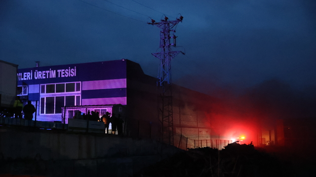 Kırklareli'nde süt ürünleri üretim tesisinde çıkan yangın söndürüldü