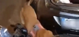 Yedek lastikten 2 kilo esrar çıktı