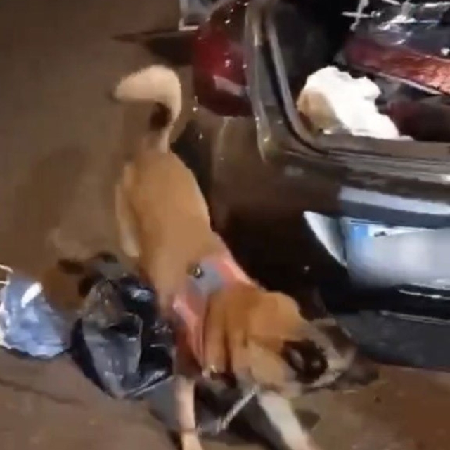 Yedek lastikten 2 kilo esrar çıktı