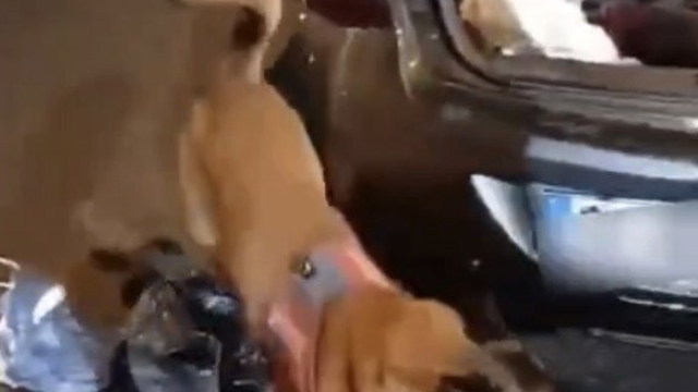 Yedek lastikten 2 kilo esrar çıktı