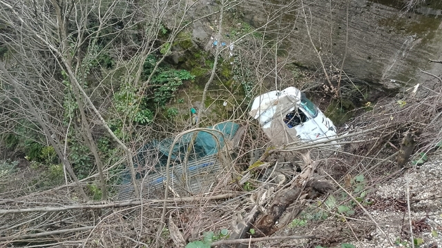 Alaplı'da kamyon şarampole uçtu