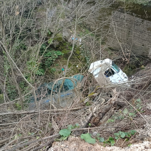 Alaplı'da kamyon şarampole uçtu