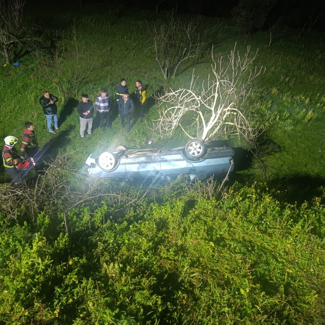 Domuza çarpan otomobil uçuruma yuvarlandı