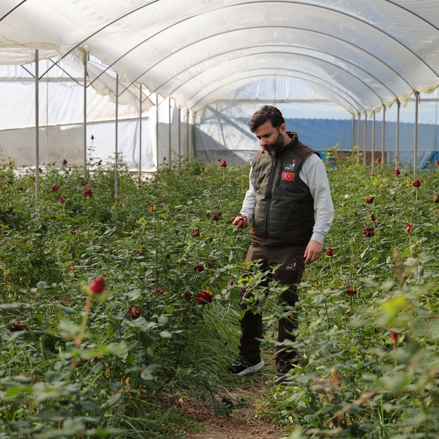 Adana'da sevgililerin gülleri dalında kurudu
