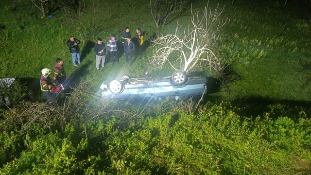 Domuza çarpan otomobil uçuruma yuvarlandı
