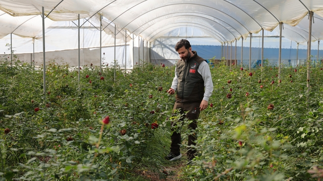 Adana'da sevgililerin gülleri dalında kurudu