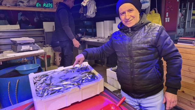 Bu sezon balık tezgahlarının gözdesi sardalya oldu
Esnaf Erkan Arslanbenzer:
"Sardalya 200 TL'lik fiyatı ile hamsiden bile ucuz"
"Eskişehir halkı balığı gerçekten sever"