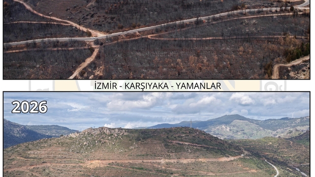 Orman yangını ile zarar gören Yamanlar, yeniden yeşile bürünüyor