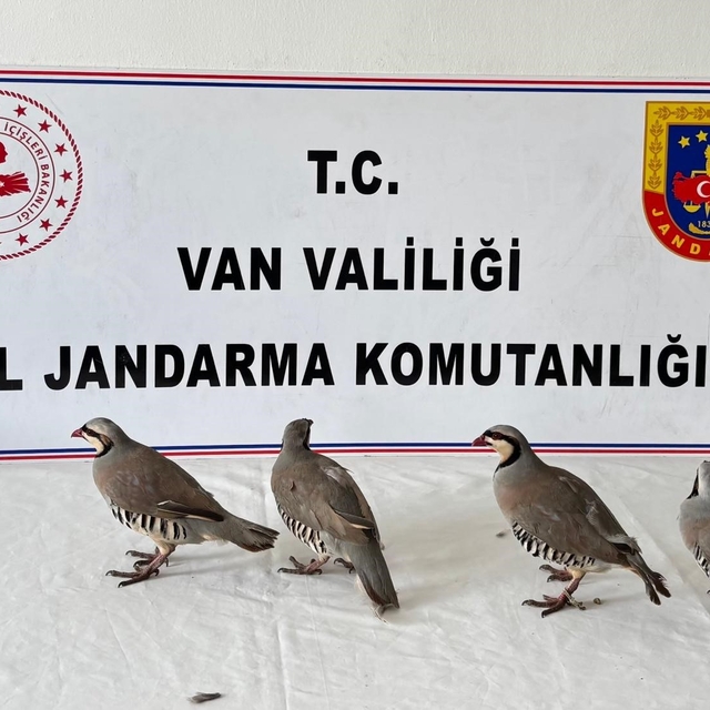 Van'da 4 keklik ele geçirildi