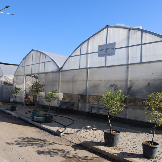 Akdeniz ilçesinde peyzajda kullanılan süs bitkileri belediyenin seralarında...